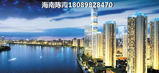 海南天山丽田