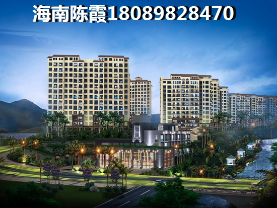 五指山XG政策