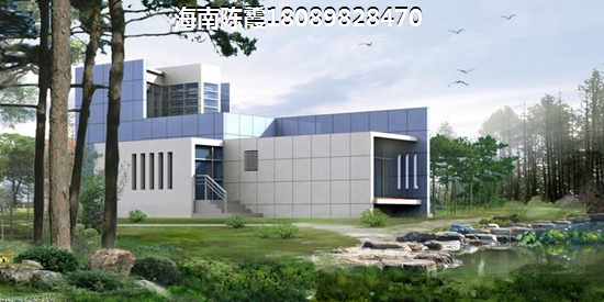 五指山鸿基蓝山二手房