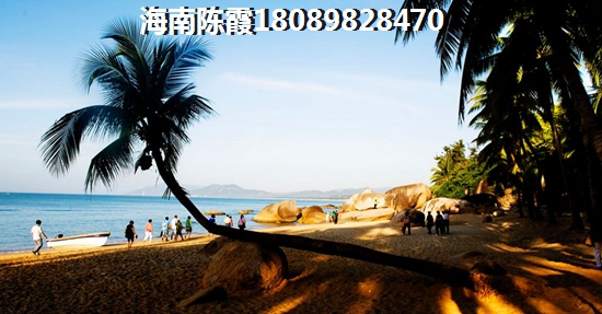 清能·丽景湾
