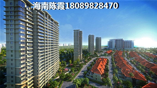 五指山XG政策