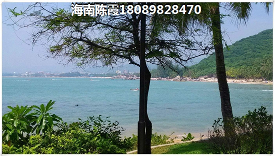 [db:楼盘名称]