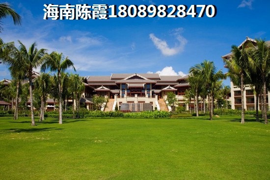 海南五指山2025什么有前景？