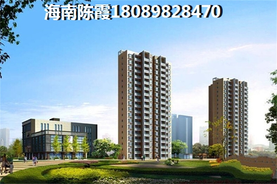 五指山阳光雨林入住率怎么样？