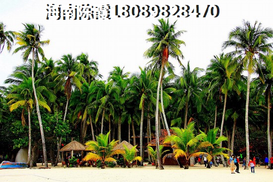 海南五指山市哪里买房适宜养老？