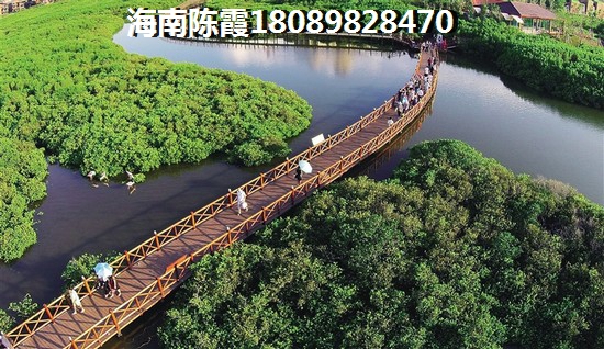鼓浪屿3月份适合去旅游吗 鼓浪屿3月份适合去旅游吗