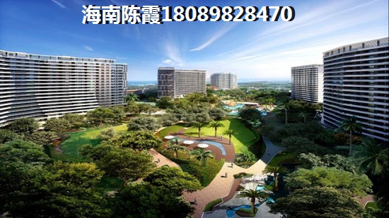 小布镇景区天气预报7天查询