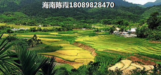 [db:楼盘名称]