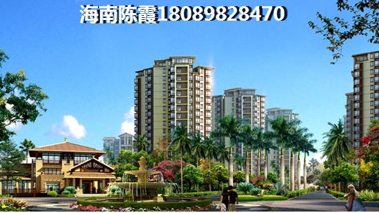 四曲面玻璃是什么意思