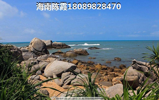 2016新浪十大好书